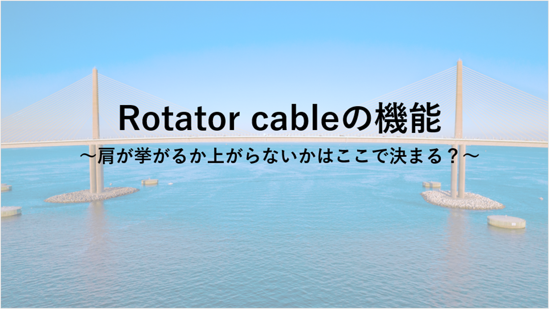 Rotator cableの機能 ～肩が挙がるか上がらないかはここで決まる？～